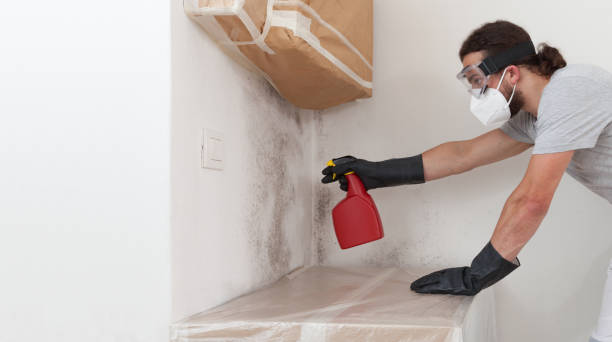Professional Attic Mold Remediation technician working in Garrett Park, MD