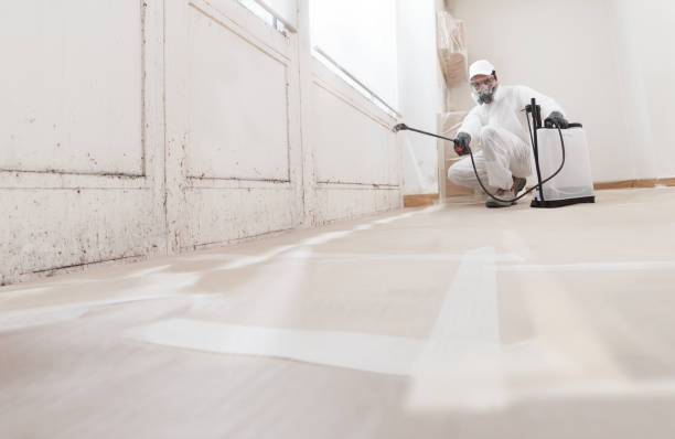 24/7 Emergency Attic Mold Remediation experts in Garrett Park, MD