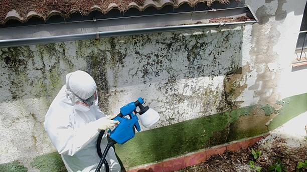 Top rated local Attic Mold Remediation specialists in Garrett Park, MD